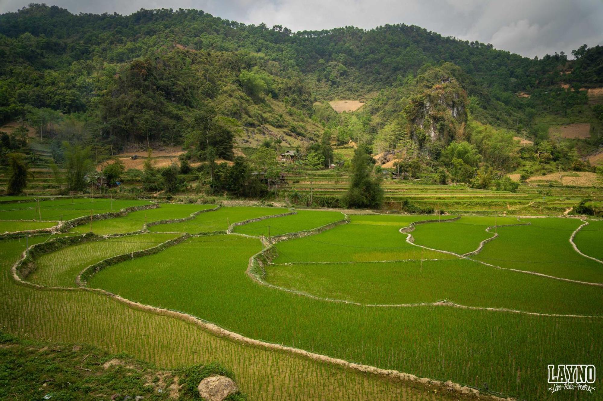 Quiri Hostel Ha Giang Lang Lap Kültér fotó